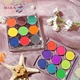 9 in 1 Solid Nail Gradient Pigment Powder Set